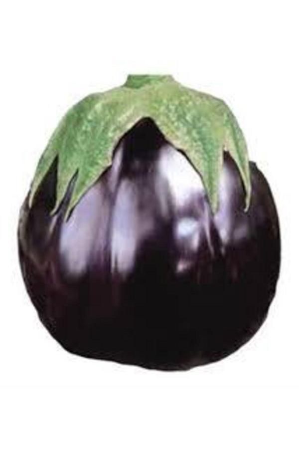 Köy Tohumları 50 Adet Tohum Nadir Iri Dev Patlıcan Bostan Patlıcanı Tohumu Ithal - Image 1