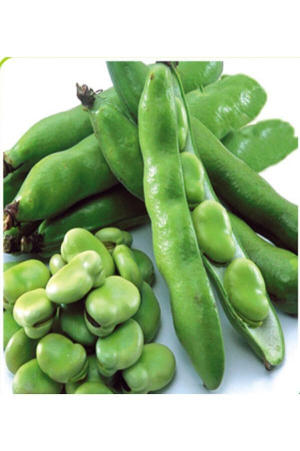 Köy Tohumları 200 Adet Tohum Eko Paket Yerli Sakız Bakla Tohumu Adet Tohum Organik Köy Tohum Sürpriz Hediye Tohum - Image 1