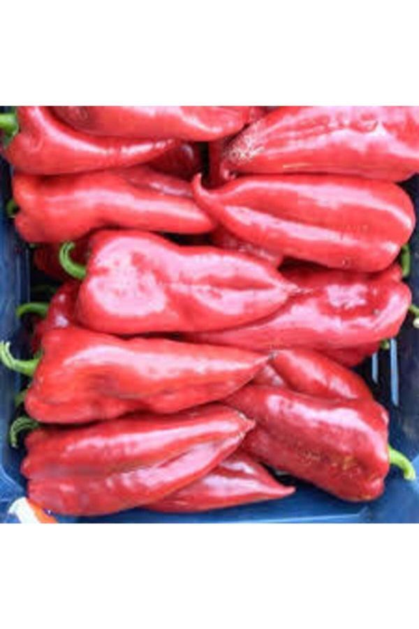 Köy Tohumları 130 Adet Tohum Kırmızı Kapya Biber Tohumu Etli Pat Biber Kebaplık Biber Sürpriz Hediye Tohumludur - Image 1