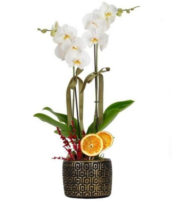 Premium Gold Vazolu 2 Dal Beyaz Orkide	 - Image 1