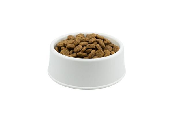 Hills Kuzulu Yetişkin Köpek Maması 1 Kg Açık - Image 1