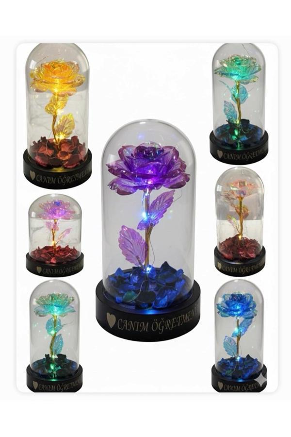 Butik Center Led Işıklı Cam Fanus İçinde Gül | Canım Öğretmenim Hediyesi - Image 1