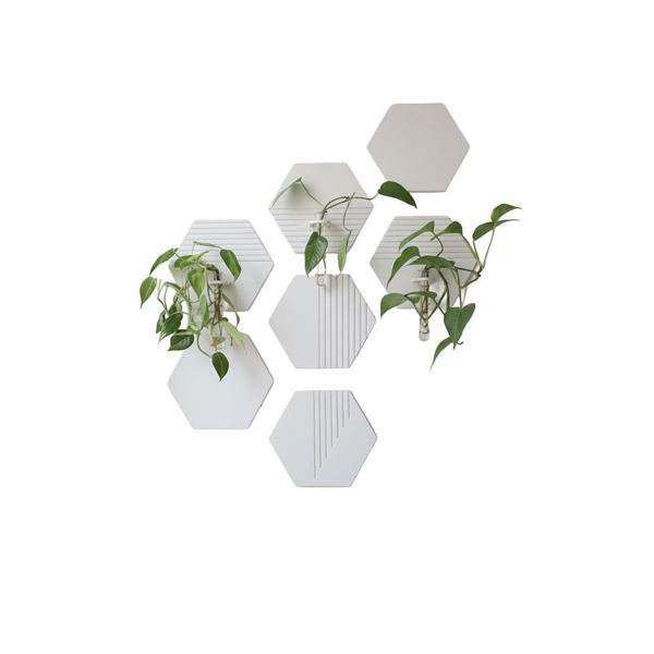 Hexagrow 7\'li Duvar Bitki Seti - Image 1