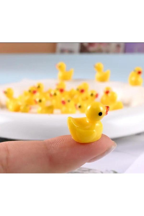 Karma Atölye Mini Ördek Seti Araba Torpido Teraryum Akvaryum Süsü 5 Adet Yeni - Image 1