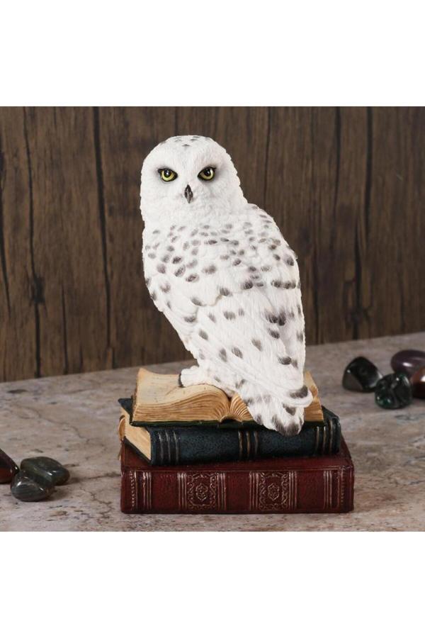 Wise Hayvanlar Alemi – Kitap Üstünde Kar Baykuşu Dekoratif Obje (Poliresin) 11X11,5X17,5 Cm - Image 1