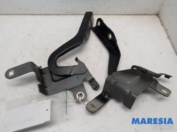 Clio Kaput Menteşesi Sağ Hatchback 2012- Oem No (654008394R) - Image 1