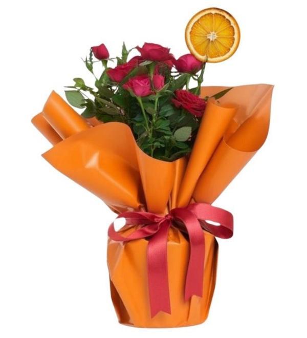 Kırmızı Gül Saksılı	 - Image 1