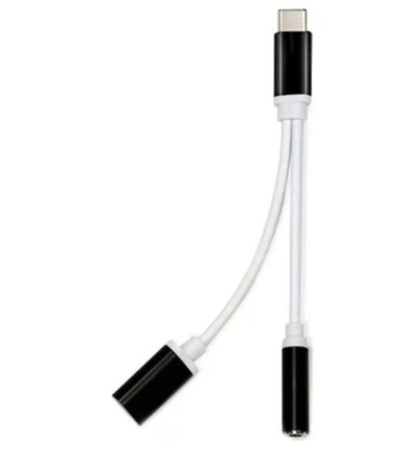 ZR310 Ft Ac 20 Type-C 2 İn 1 Çevirici - Image 1