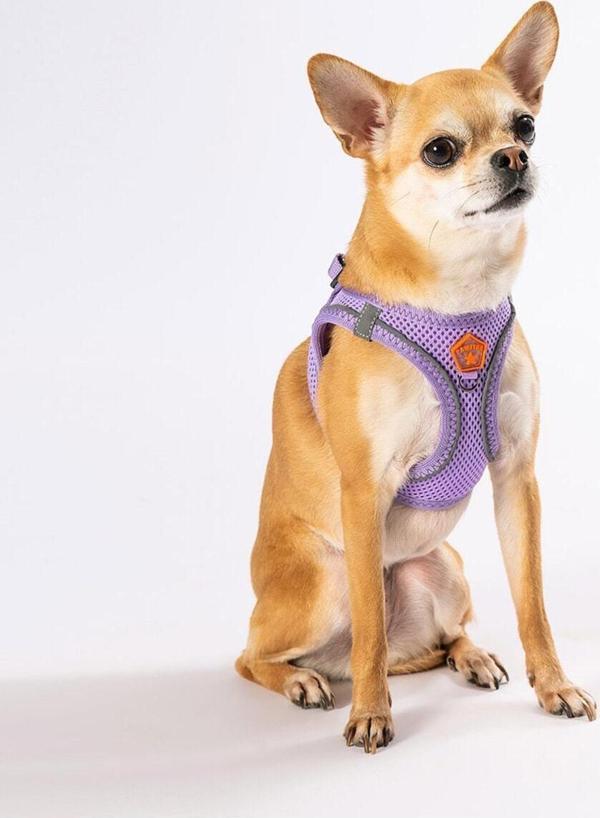 Pawstar Lila Air-Mesh Göğüs Tasması Kedi Köpek Göğüs Tasması - Image 1