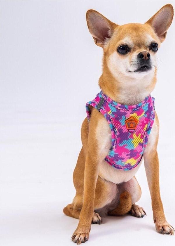 Pawstar Rosea Camouflage Air-Mesh Göğüs Tasması Kedi Köpek Göğüs Tasması - Image 1