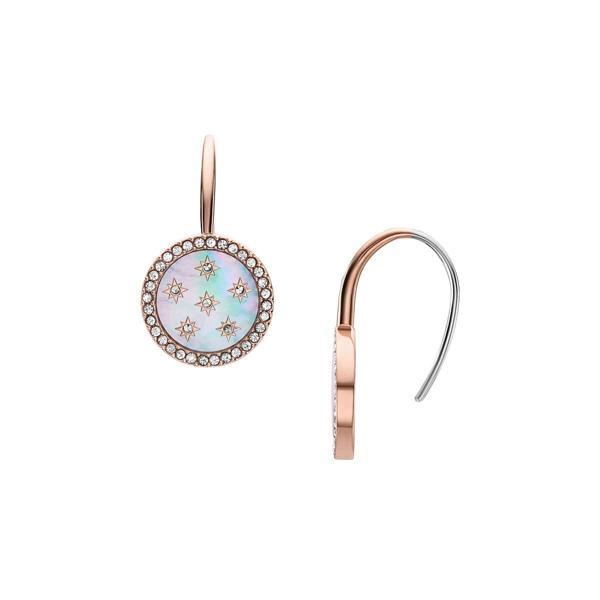 Fossil JF04938-791 Kadın Küpe - Image 1