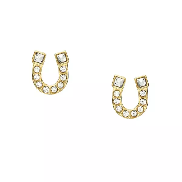 Fossil JF04908-710 Kadın Küpe - Image 1