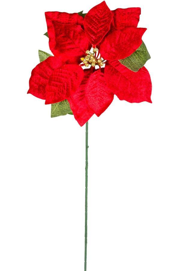 Yılbaşı Çiçeği Puansetya Kırmızı 62 Cm - Image 1