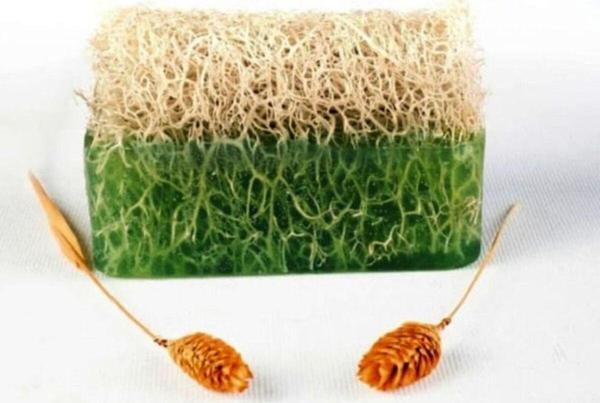 Protecsun Doğal Kabak Lifli Aloe Vera Sabunu 1 Adet - Image 1