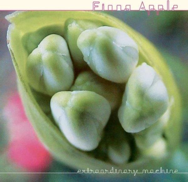 Fiona Apple Extraordinary Machine Plak - Image 1