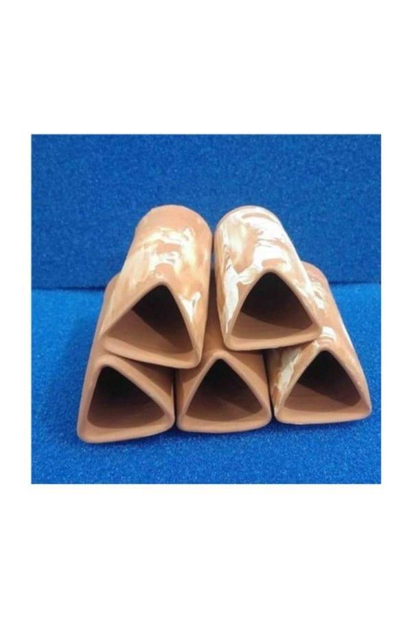 5 Adet Cüce Vatoz Yavruluğu - Image 1