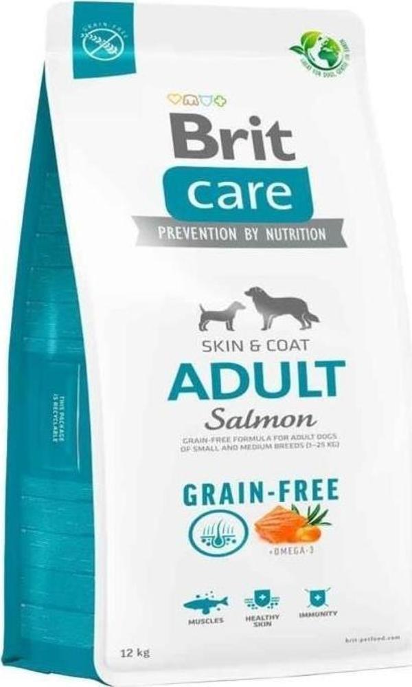 Brit Care Tahılsız Skin & Coat Somonlu Yetişkin Köpek Maması 12 Kg - Image 1
