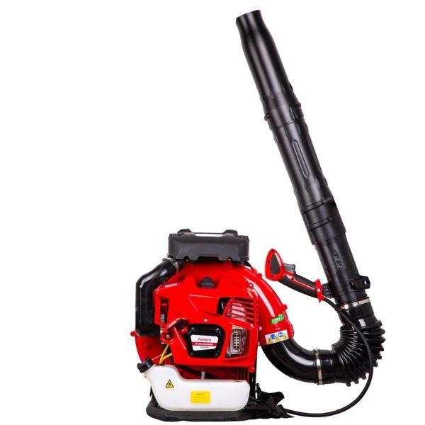 Palmera EB985A Benzinli Üfleme Toplama Makinesi Sırt Tip 5,0 Hp - Image 1