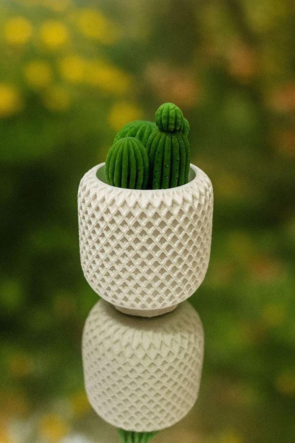 Calma Flame Dekoratif Kaktüs El Yapımı Soya Mum – Romantik Hediye, Sevgililer Günü, Ev Dekor, Özel Gün - Image 1