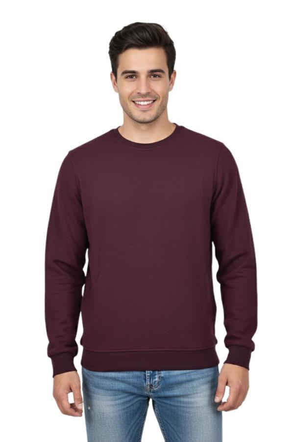Erkek Sıfır Yaka Petek Doku Regular Fit Sweatshirt BGL-ST04950 - Image 1