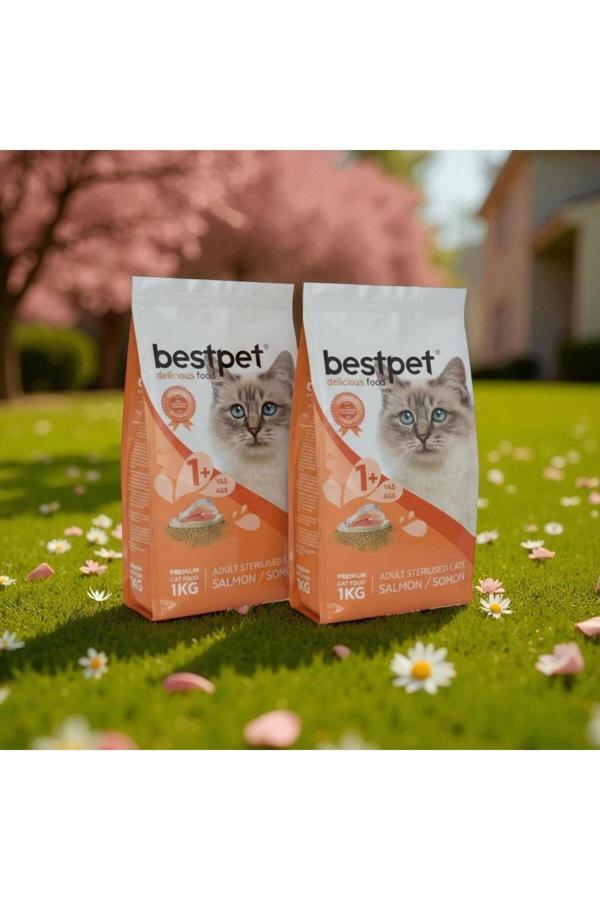 kısırlaştırılmış somonlu yetişkin kedi maması 1kg*2 adet - Image 1