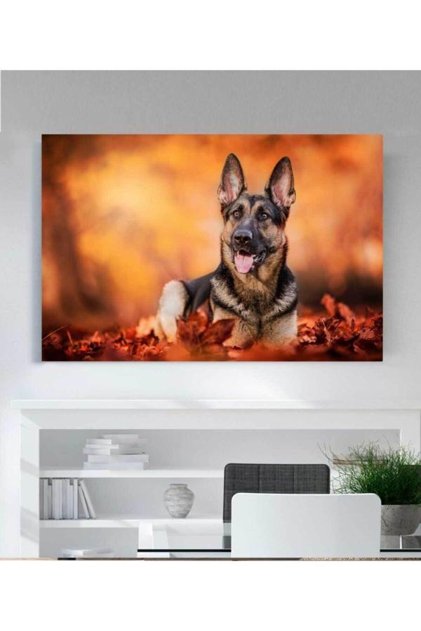 Köpek Resimli Kanvas Tablo - Image 1