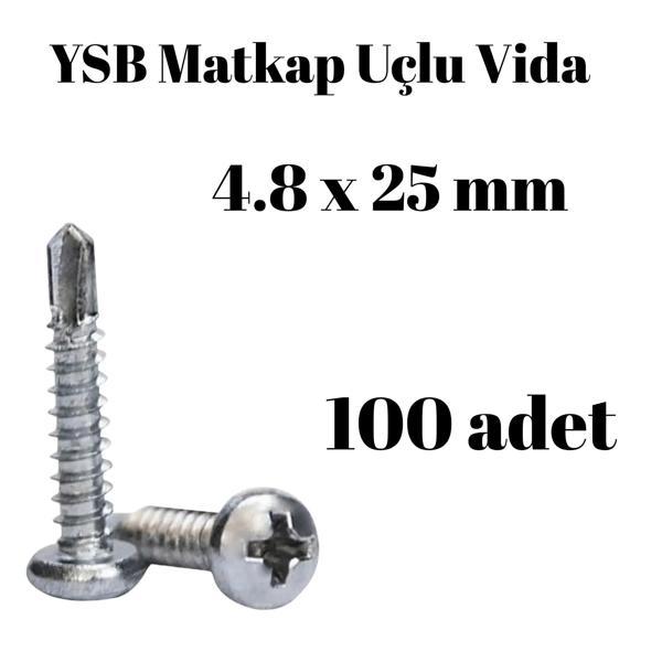 Yıldız Silindir Başlı 4.8x25 YSB Matkap Uçlu Akıllı Vida 100 Adet - Image 1