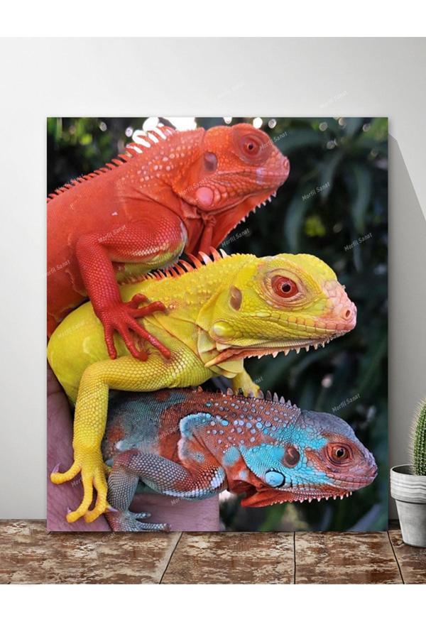 Morfil Sanat Atölyesi Renkli Bukalemunlar Dekoratif Kanvas Tablo (8 Farklı Ölçü) - Image 1