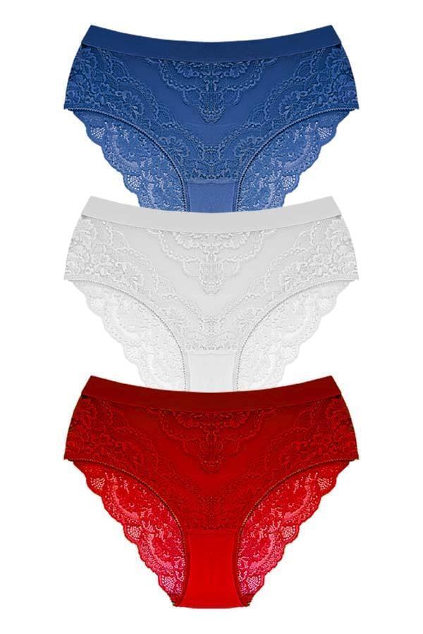 Dantelli Arkası Transparan Büyük Beden Bikini Külot 3'lü Paket-2 - Image 1