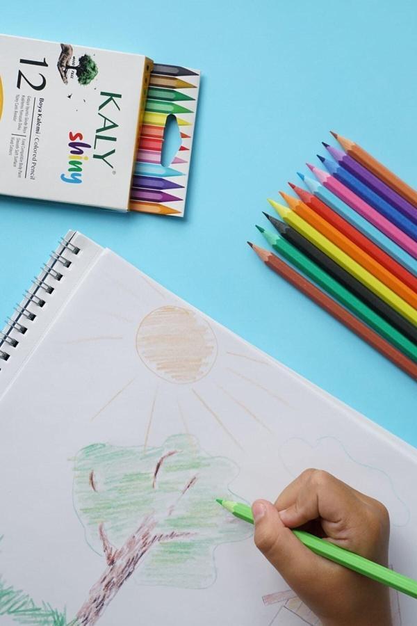 Silka Kaly 12 Renk Tam Boy Kuru Boya Seti - Image 1