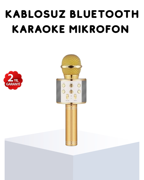 Karaoke Mikrofonu Bluetooth USB AUX Girişli Yankı Efektli - Image 1