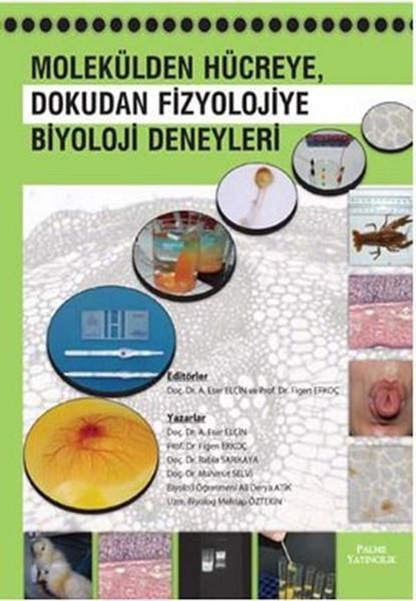 Molekülden Hücreye Dokudan Fizyolojiye Biyoloji Deneyleri - Palme Yayınları - Image 1