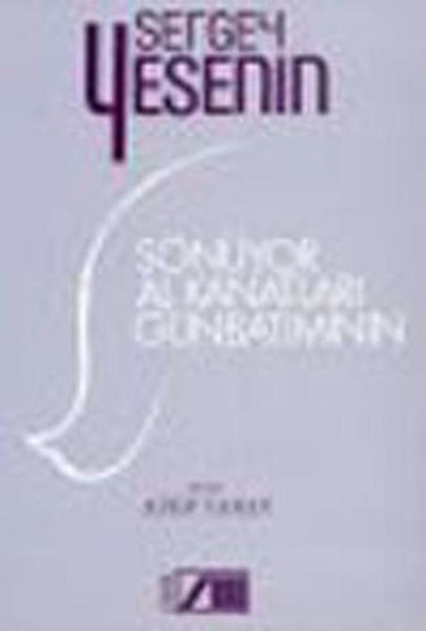 Sönüyor Al Kanatları Günbatımının - Adam - Image 1