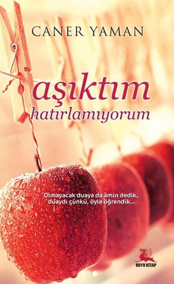 Aşıktım Hatırlamıyorum - Koyu Kitap - Image 1