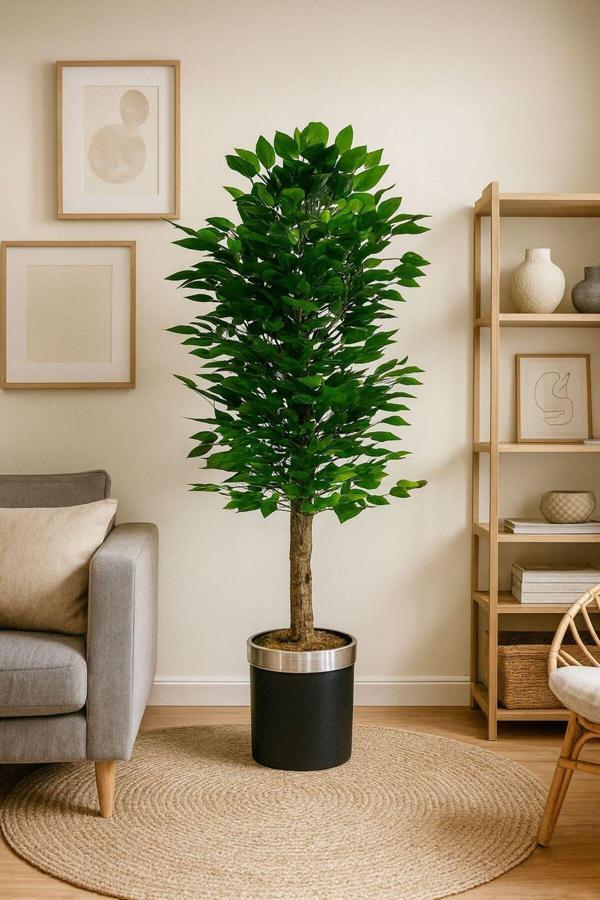 YAPAY BENJAMIN AGACI (130 CM ) - Image 1