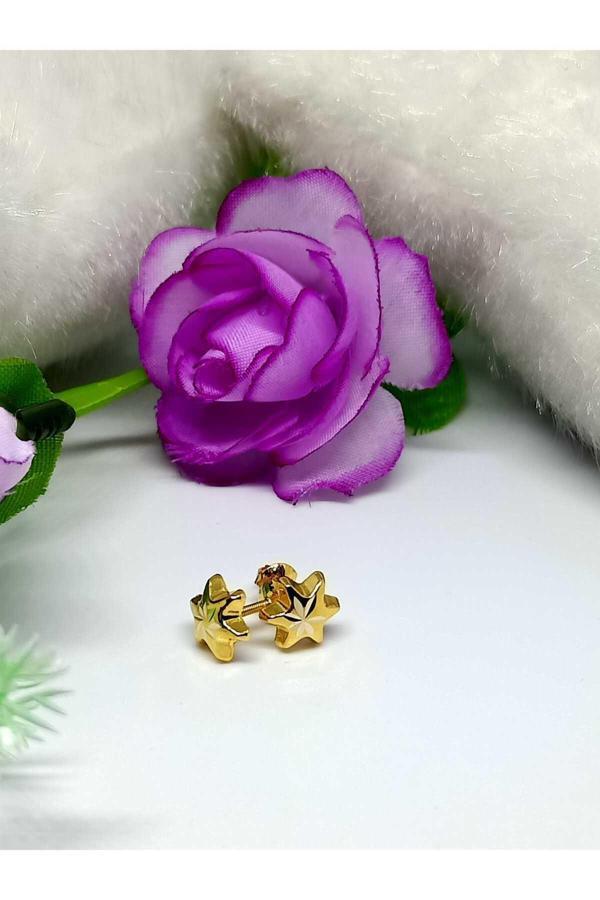 Nisanur Altın 14 Ayar Bebek & Çocuk Küpesi - Image 1