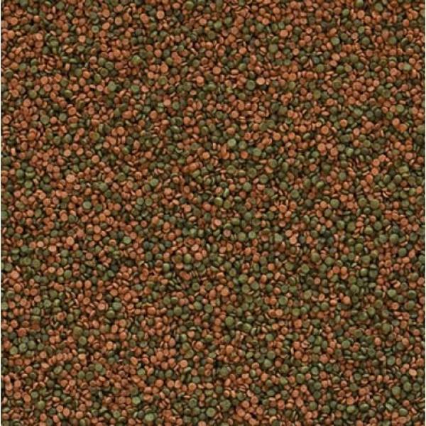 Tropical Cichlid Gran 250 gr Granül Balık Yemi - Image 1