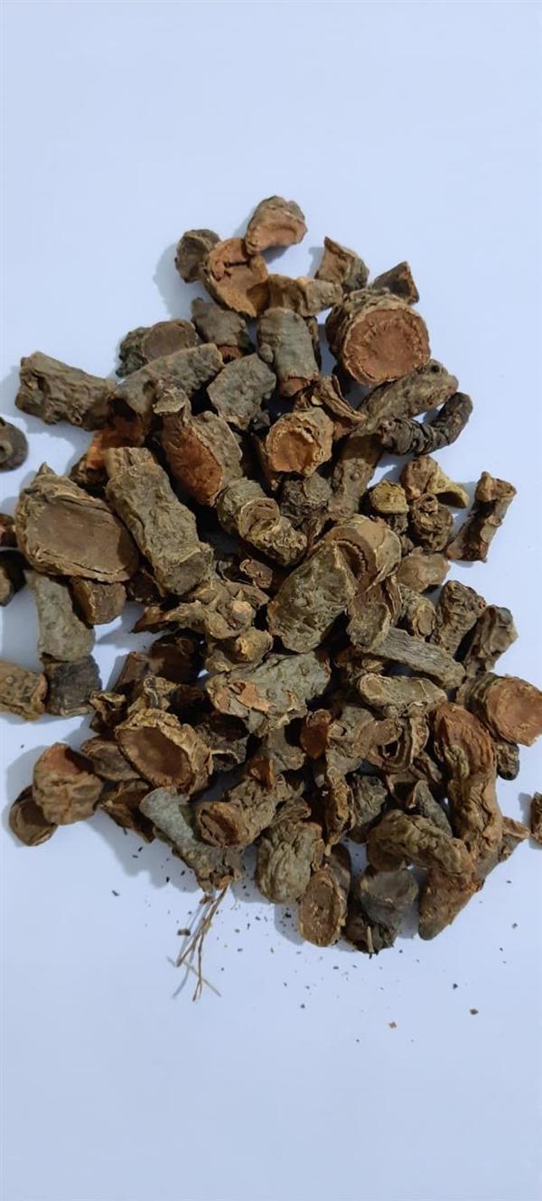 Centiyane-yılan Otu Kökü 100 GR - Image 1