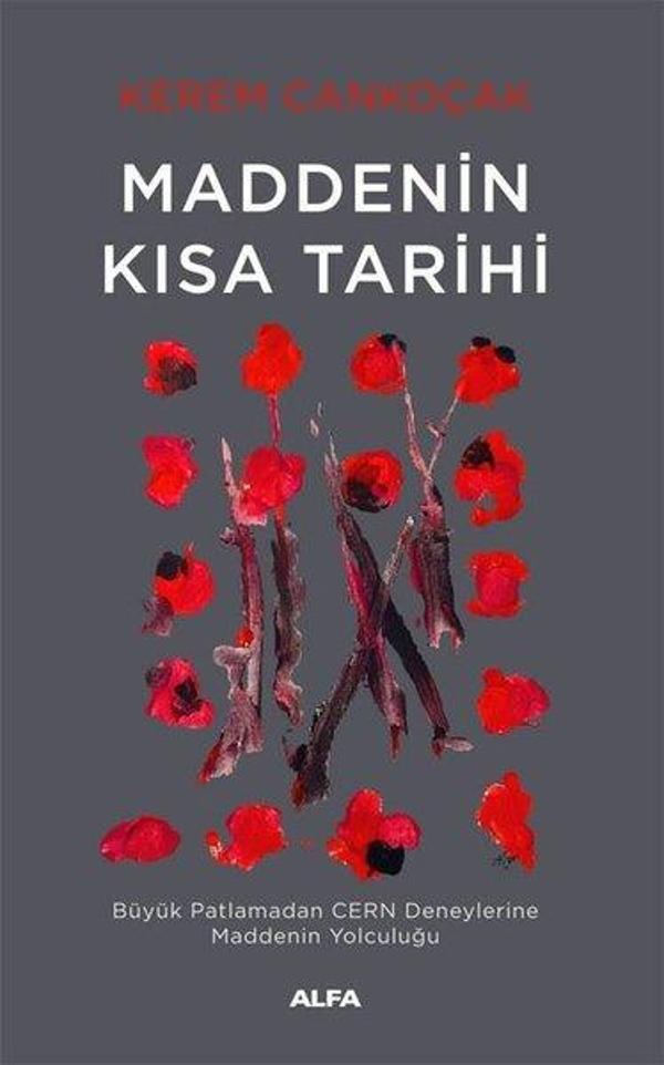 Maddenin Kısa Tarihi - Büyük Patlamadan CERN Deneylerine Maddenin Yolculuğu - Alfa Yayıncılık - Image 1