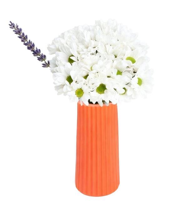 Lavanta Kokulu Papatya - Image 1