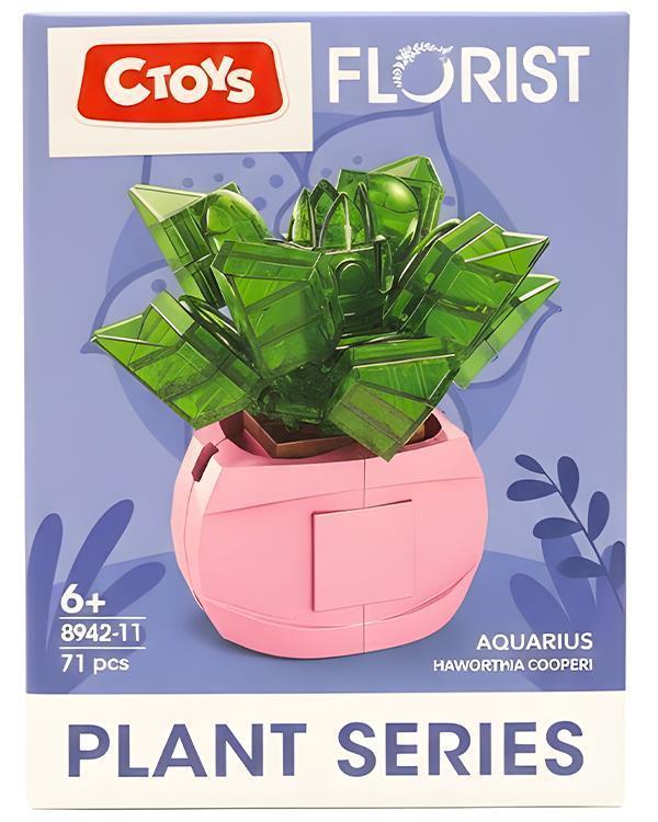Ctoys Florist Burçlar Saksılı Bitki Yapım Seti Aquarius 8942 11 - Image 1