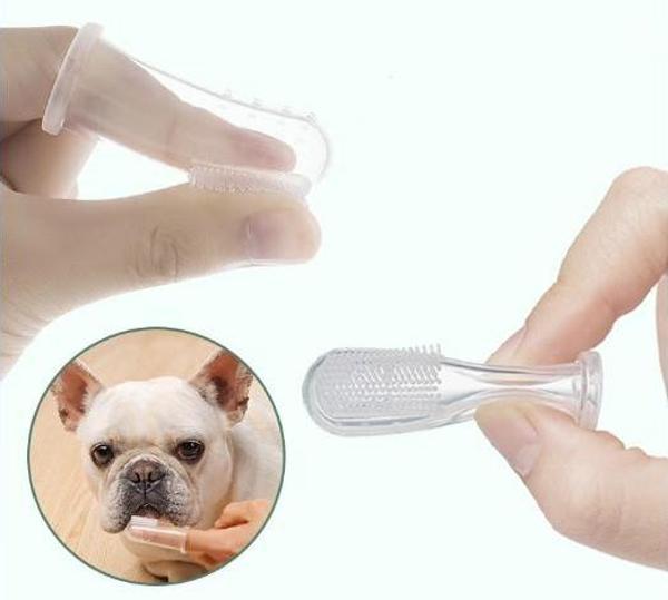 Evcil Hayvan Kedi Köpek Parmağa Takılan Diş Kaşıma Fırçası - Image 1