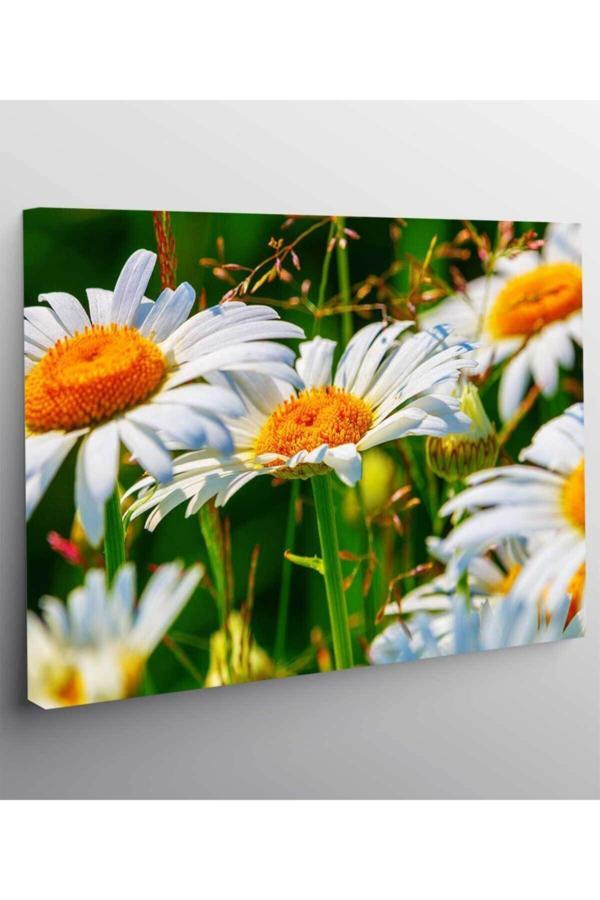 Çiçek Resimli Kanvas Tablo - Image 1