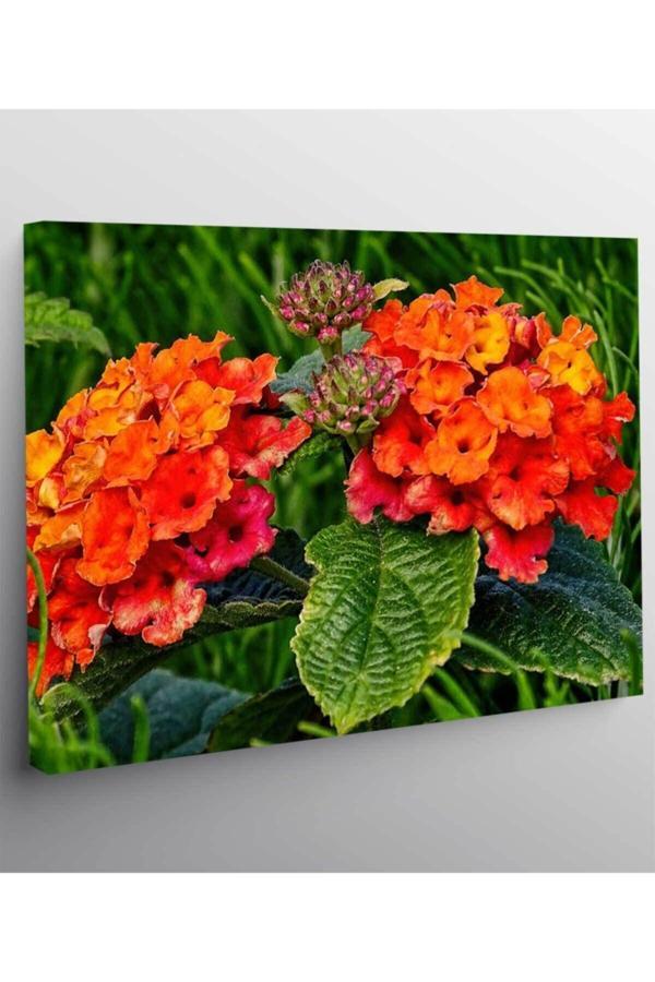 Çiçek Resimli Kanvas Tablo - Image 1