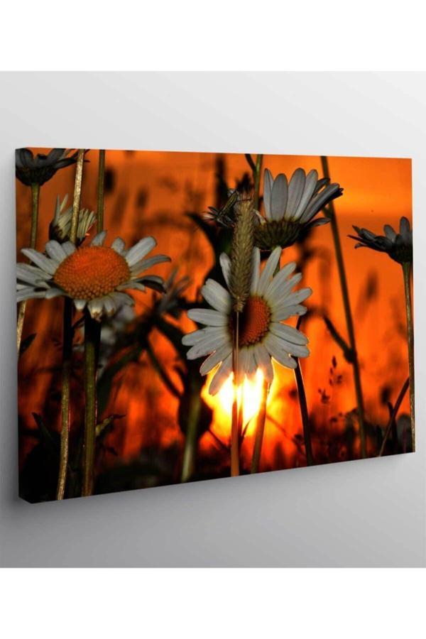 Çiçek Resimli Kanvas Tablo - Image 1