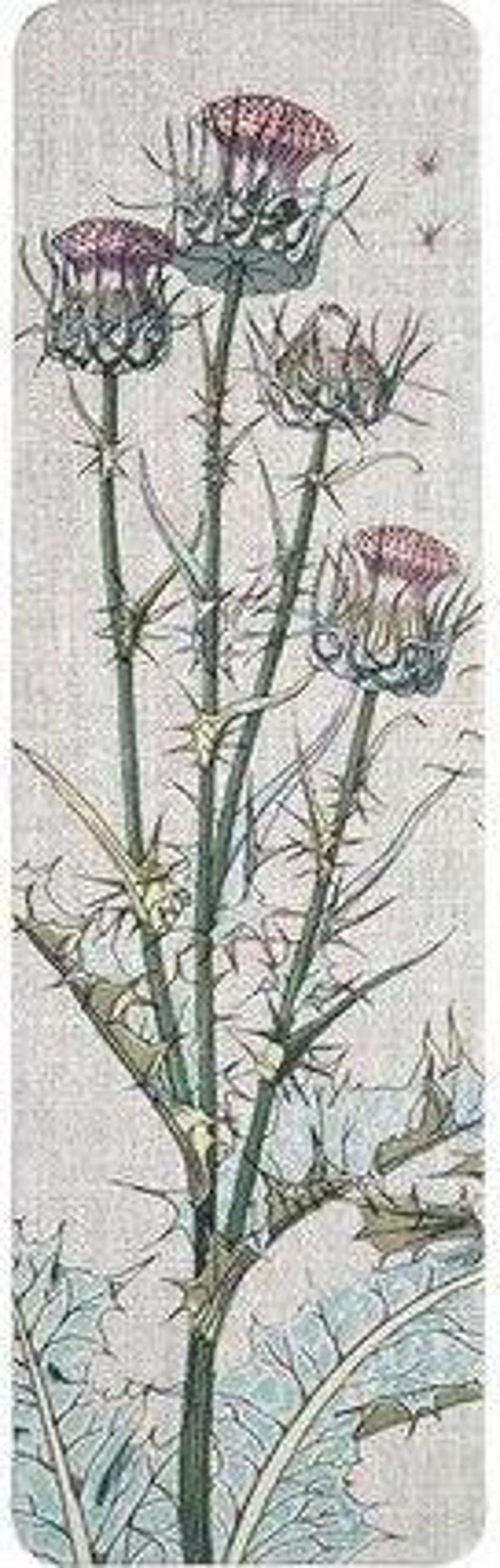 Muus Muusmarks Flower thistle 4,5x15 Ayraç - Image 1