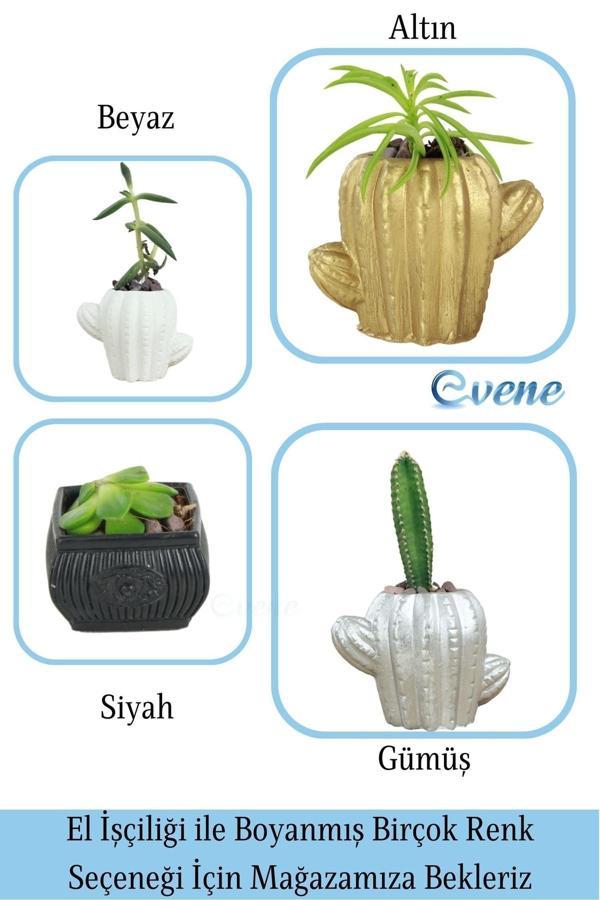 Mini Çiçek Saksı Küçük Sukulent Beyaz Kaktüs Saksısı Kaktüs Figür Model - Image 1