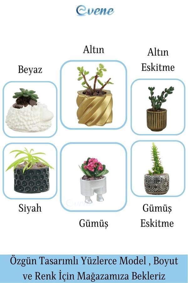 Mini Çiçek Saksı Küçük Sukulent Gümüş Kaktüs Saksısı Mini Çiçekli Model - Image 1