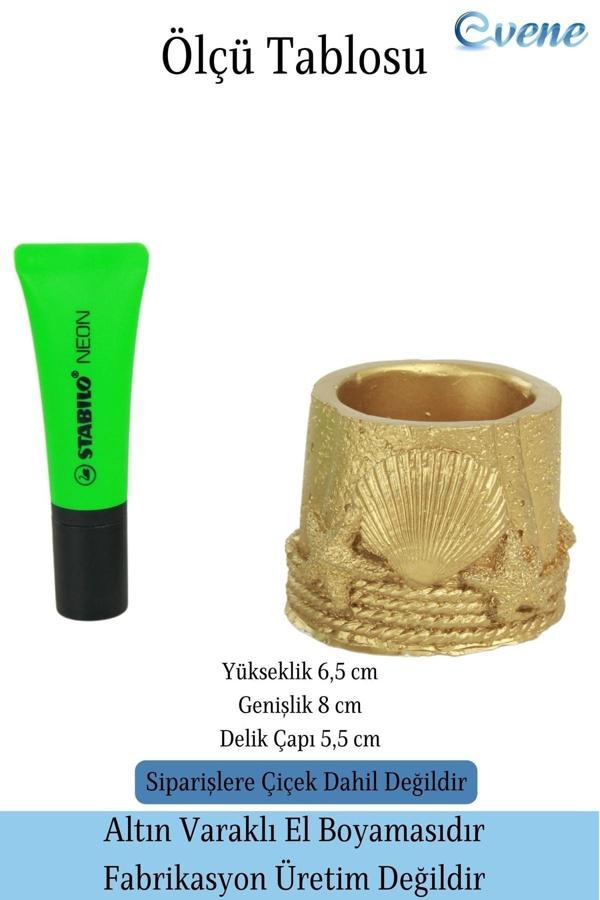 Mini Çiçek Saksı Küçük Sukulent Beyaz Kaktüs Saksısı Deniz Yıldızlı Kabuklu Model - Image 1