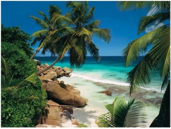 Ravensburger  Seyşeller Puzzle 2000 Parça - 813667 - Image 1